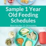 1 year old feeding schedules pin