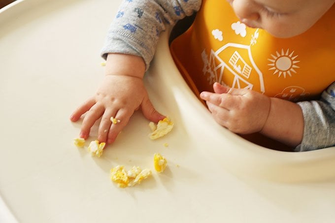 baby in high chair eating eggs with hands