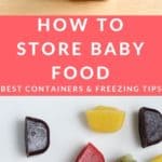 baby food storage pin 1
