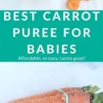 carrot baby food pin 1