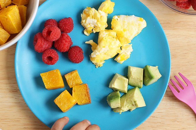 child-plate-with-avocado,-squash,-eggs-and-berries
