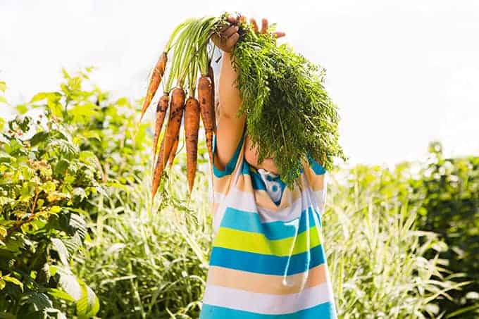kid-holding-carrots