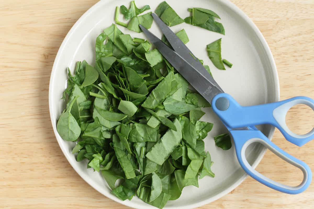 cut up spinach on plate with scissors.