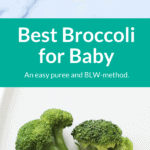 broccoli puree pin 2